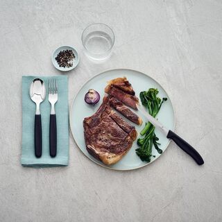 Victorinox Cutlery